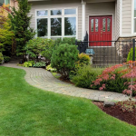 4 Signs Your Previous Landscaping Contractor Ignored Drainage Planning